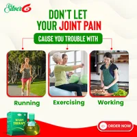 https://cdn.sybazzar.com/public/200-200/files/B5DBC2FD8CD6A03-silv2.jpg