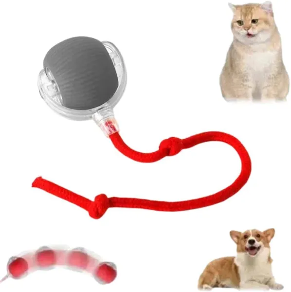 Cat Toys Balls 1pcs (Multicolor)