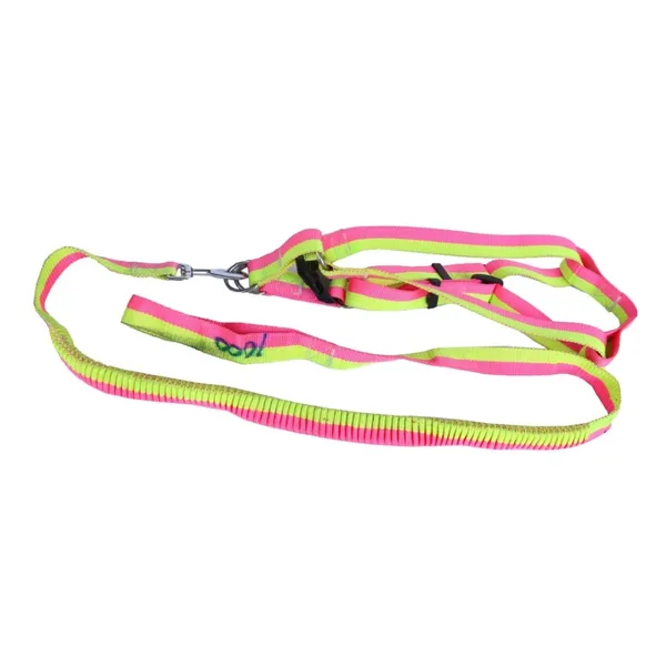 Pink/Neon Solid Design Small Nylon Harness Leash for Dog g