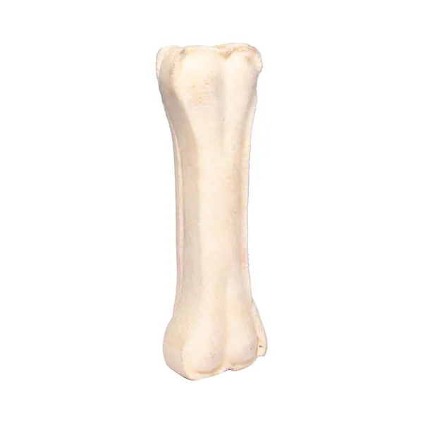 Dogs Chew Bones