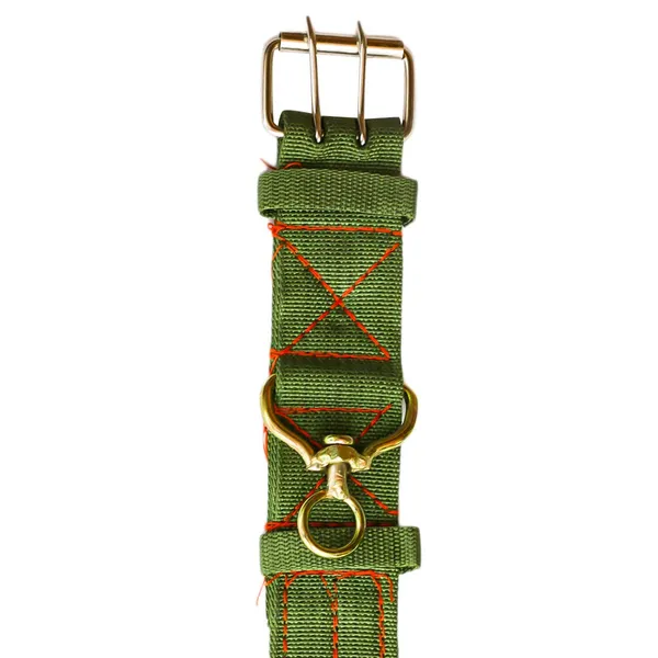 Green Dog Belt A