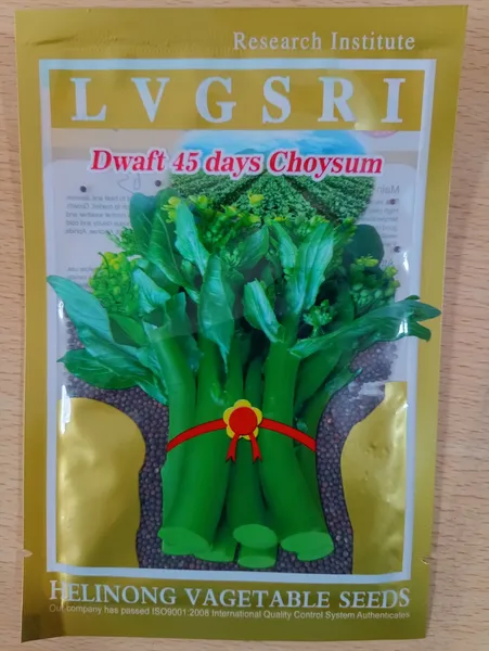 Dwarf 45 Days Choysum Vegetable Seed 10 Gm Packet