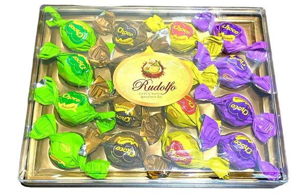 Rudolfo T16 Rectangle Box Pack Celebration Chocolate 200Gm Pack
