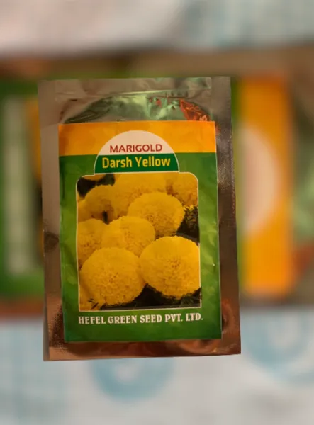 100 Seeds Marigold Flower Original Pack Seeds Darsh Yellow