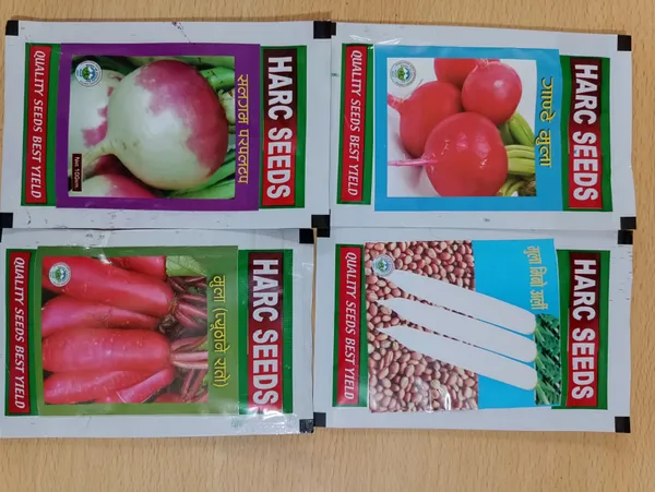 Root Vegetables Seed Mula Red, Mula, Purple Top and Red Salgam