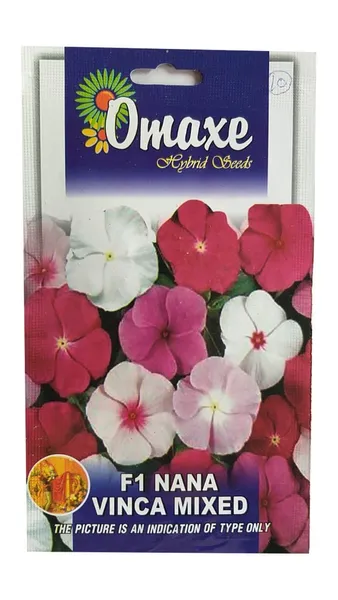 Omaxe F1 Nana Vinca Mixed Flower Seeds- 30 Seeds