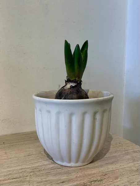 5 Inch Ceramic Flower Plant Pot For Indoors Outdoor Home Garden