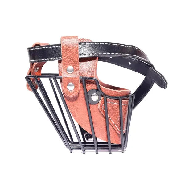 Shoulder Hoister