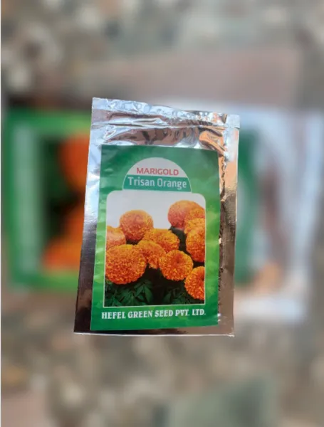 100 Seeds Marigold Flower Seeds Trisan Orange