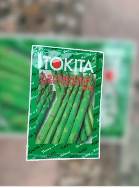 10 Gram Asparagus Original Seeds Pack Kurilo Seeds