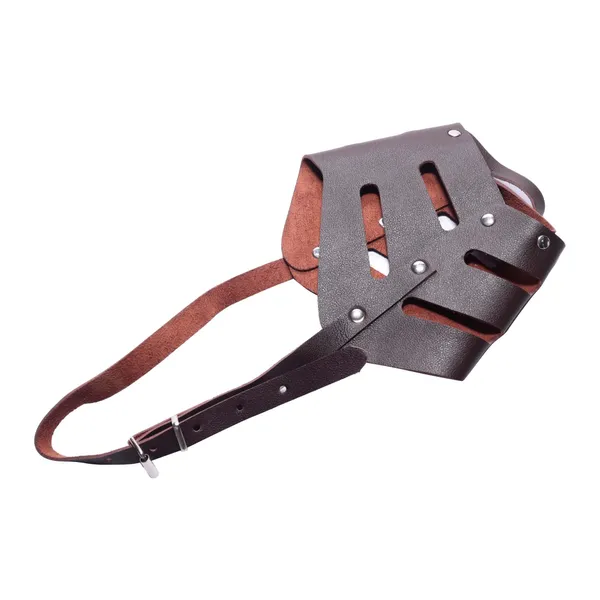 Brown Dogs Muzzles