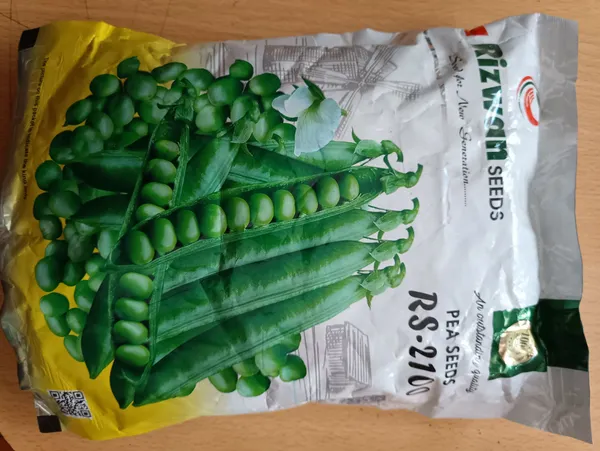 Rizwan Pea Vegetables Seed / Kerau Biu - 500gm